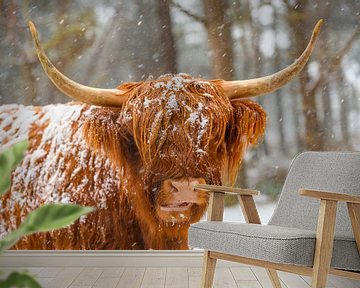 Portret van een Schotse hooglander koe in de sneeuw van Sjoerd van der Wal Fotografie