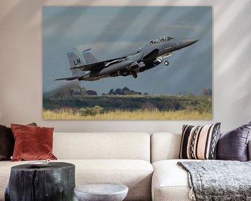 Amerikaanse Luchtmacht F-15E Strike Eagle van Dirk Jan de Ridder - Ridder Aero Media