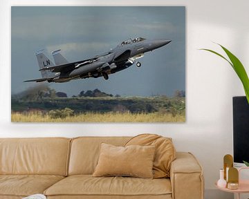Vereinigte Staaten von Amerika Luftwaffe F-15E Strike Eagle von Dirk Jan de Ridder - Ridder Aero Media