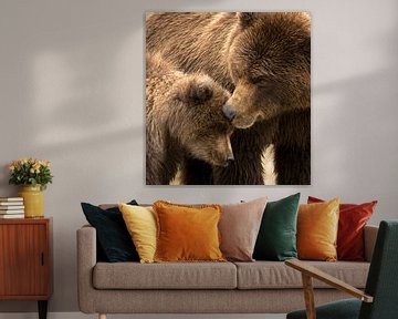 Alaska Peninsula Brown Bear, Ursus arctos gyas by AGAMI Photo Agency