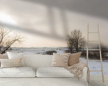Nice landscape in the snow