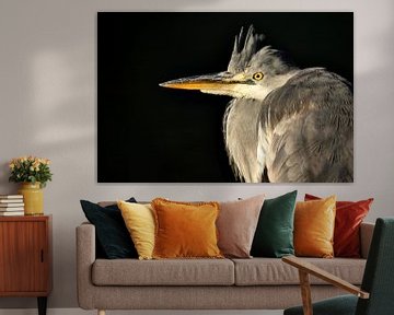 portrait grey heron by Thijmen van Heerde