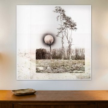 Midwinter Moon (Collage)