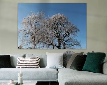 Witte bomen met rijp by Ilona Bredewold