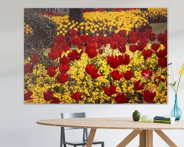 Tulpen van Frans Janssen