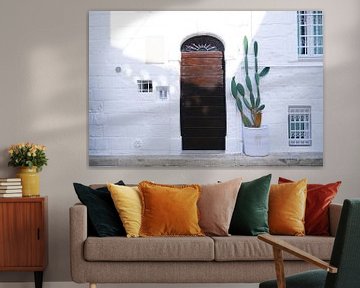 Cactus on a White Wall