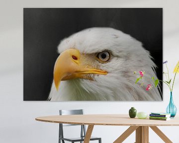 Bald Eagle, een portret. van Gert Hilbink