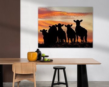 Sunset cows van Annemieke van der Wiel