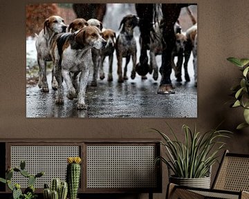 Foxhounds in the rain sur Wybrich Warns