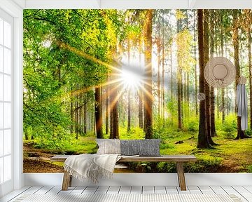 Beautiful forest by Günter Albers