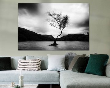 eenzame boom, zwart-wit van Jeannette Kliebisch