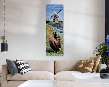 Molen met Haan Vertorama