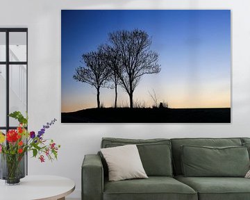 Drie bomen bij zonsopgang. by Ulbe Spaans
