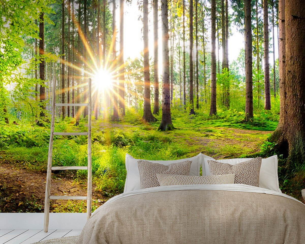 Raumvorschau