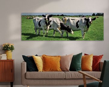Koeien in Weiland Rijnsaterwoude Nederland Panorama van Hendrik-Jan Kornelis