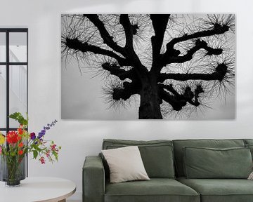 Baum in schwarz und weiß von Wouter Bos