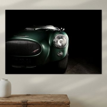 Austin Healey 100M by Thomas Boudewijn