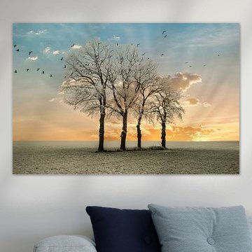 Winterlandschap Nederland