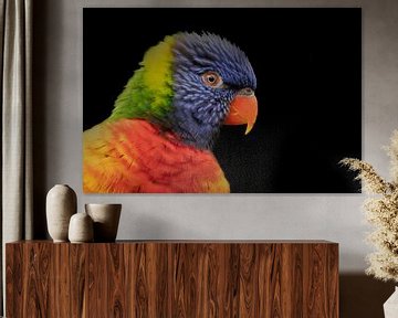 Lori, een kleine papegaai van Gert Hilbink