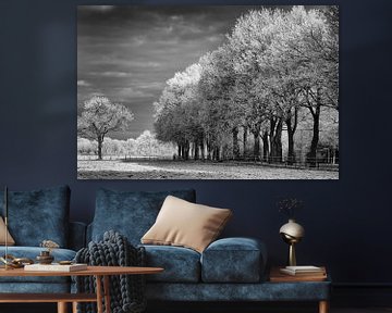 Magical winter landscape in black and white van Tonny Eenkhoorn- Klijnstra