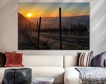 Sonnenaufgang im Weinberg by Heinz Grates