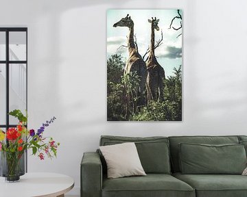 Girafes. sur Niels Jaeqx