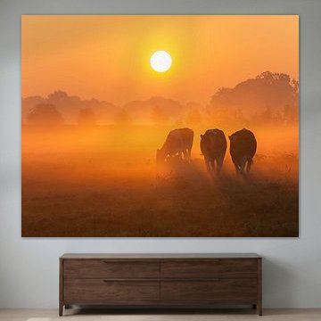 Neugierige Kühe bei Sonnenaufgang von Alied Kreijkes-van De Belt