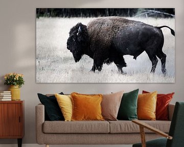 Lonesome Bison von Rutger-Jan Cleiren