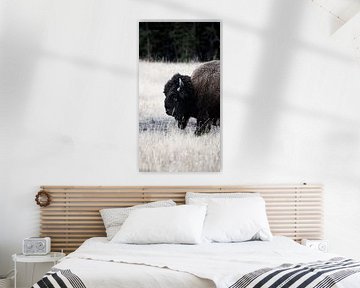 Lonesome Bison / Vertical van Rutger-Jan Cleiren