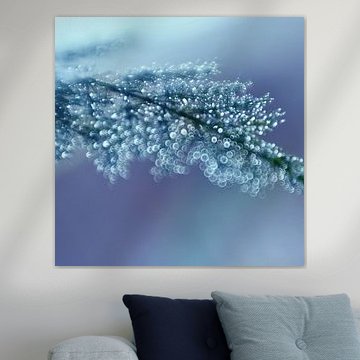 Macro - Bokehlicious