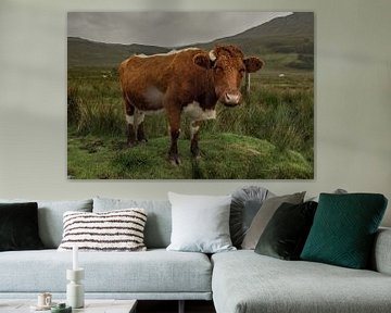 Een nieuwsgierige koe op het mooie Schotse eiland Skye van Natascha Worseling