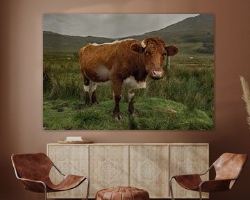 Eine neugierige Kuh auf der schönen schottischen Insel Skye von Natascha Worseling