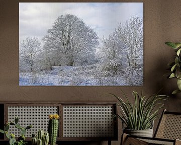 Sneeuwlandschap met kale bomen en struiken in Vlaanderen.