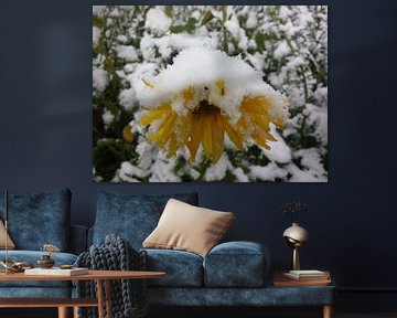 Zonnebloem in de sneeuw van Andrea Meister