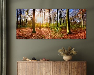 Kleurrijke herfst - zonsopgang in het bos van Günter Albers