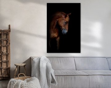 Horse on the wall 5 by Wybrich Warns