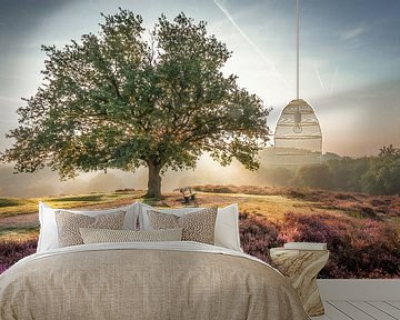 Strahlende Sonne hinter einem Baum auf der violetten Mookerheide von Michel Seelen