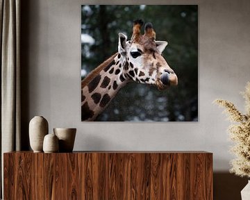 Giraffe van Lieke Doorenbosch