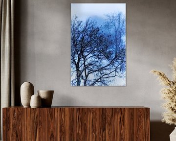 Winterschlaf von Jan van der Knaap