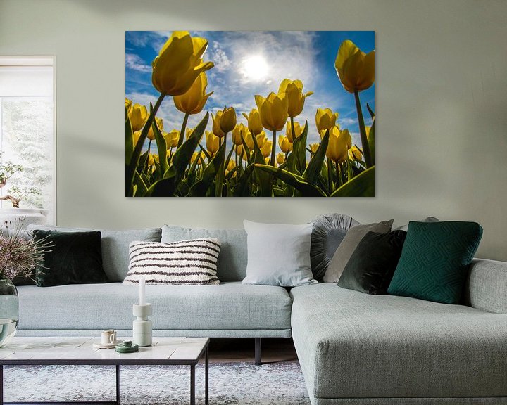 Sfeerimpressie: Gele tulpen in de zon van Eveline Dekkers