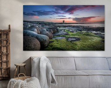 Round rocks and green seaweed on Irish coast during sunset