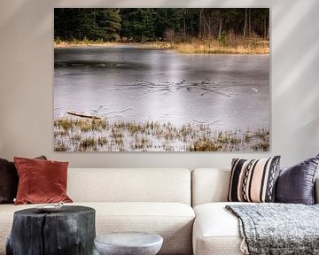 Eisstern auf gefrorenem Moor im Kiefernwald von Mayra Fotografie