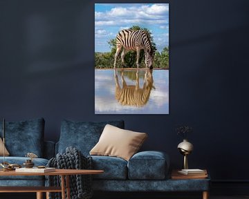 Trinken eines Zebras an einem Wasserloch mit Reflexion im Wasser. von Gunter Nuyts