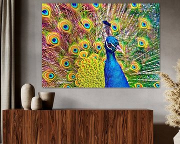 Blue Indian peafowl sur Leopold Brix