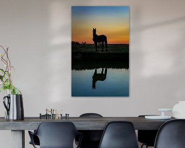 Paard reflectie tijdens zonsondergang van Jo Pixel