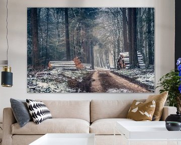 Winter im Wald von Niels Barto