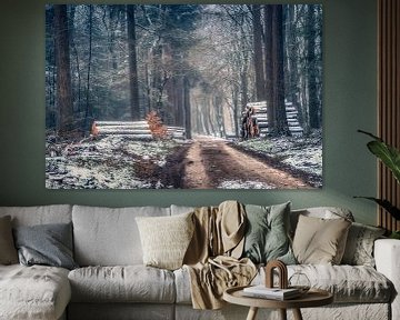 Winter in het bos van Niels Barto