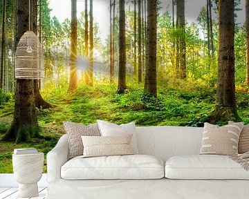 Beautiful forest by Günter Albers