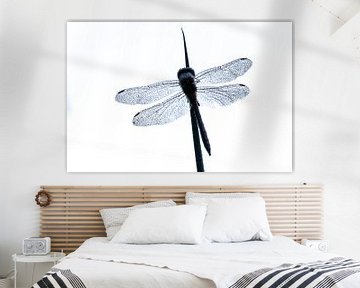 Dragonfly black white van Esther Ehren