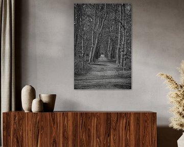 Zwart wit foto van een bos by Elbertsen Fotografie